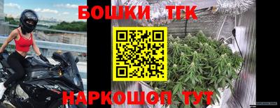 МДПВ Камышлов