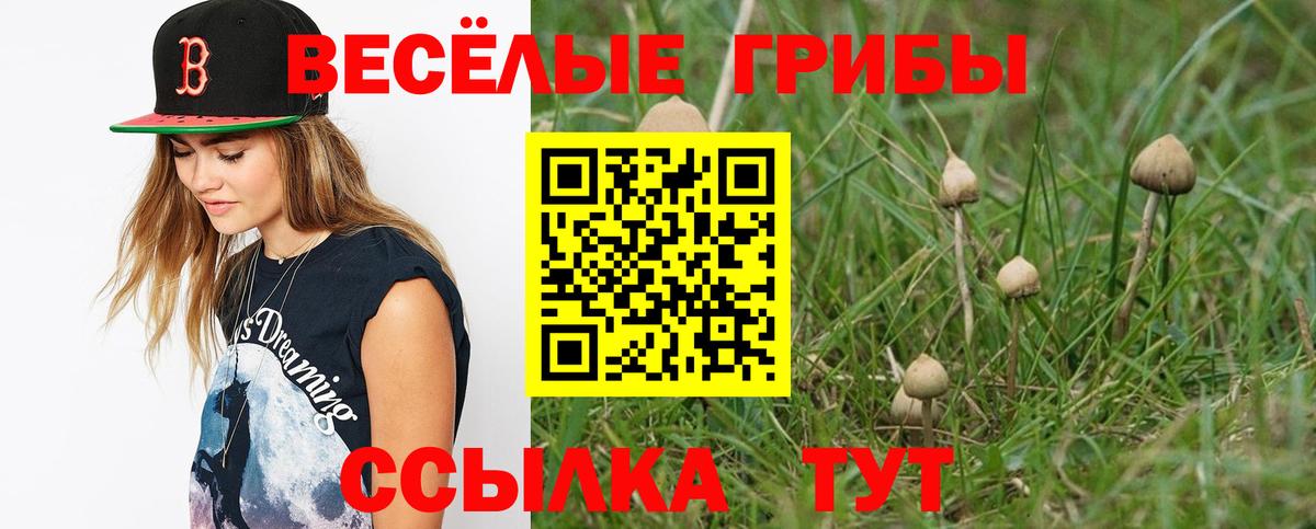 Псилоцибиновые грибы GOLDEN TEACHER  Вход с VPN  Заволжье 